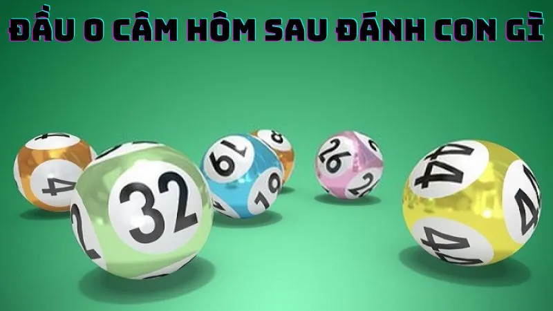 dau-0-cam-hom-sau-danh-con-gi